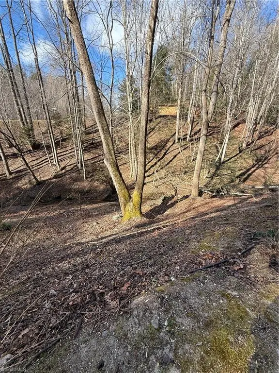 2378 Mount Zion Road, Ferguson, NC 28624 - #3