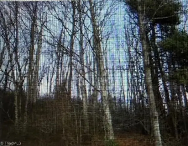 TBD Tony Holder Road, Lowgap, NC 27024