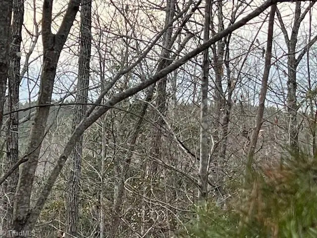 TBD Tony Holder Road, Lowgap, NC 27024 - #2