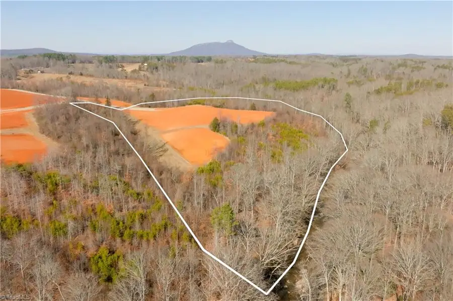6 Roby Fulk Road, Pinnacle, NC 27043 - #2