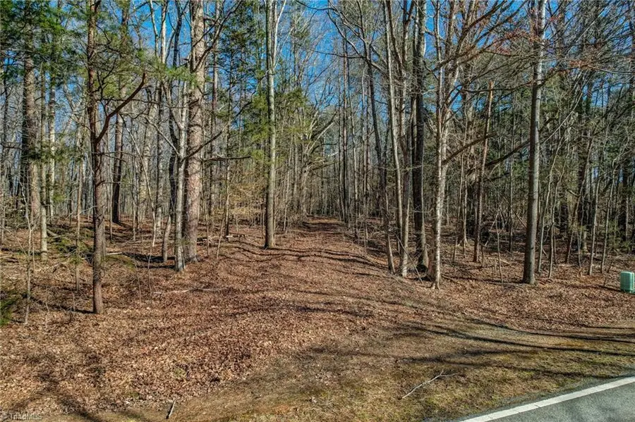 00 High Rock School Road, Blanch, NC 27212 - #3