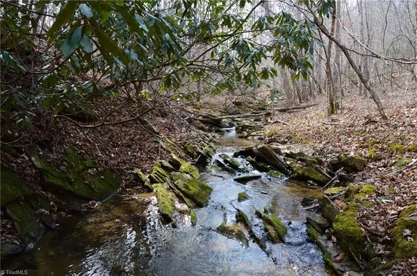 1284-1516 Tom Mix Road #95.93 +/- Ac Tract, Westfield, NC 27053