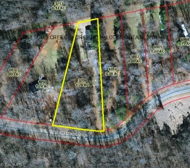 2051 Toms Creek Church Road, Pilot Mountain, NC 27041 - #1