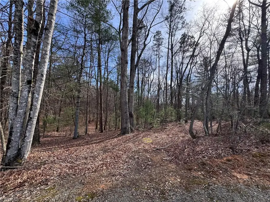 TBD Leeford Lane, Elkin, NC 28621 - #3