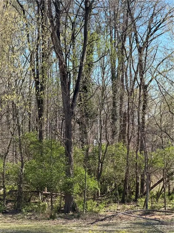 0 Pine Woods Church Road, Thomasville, NC 27360 - #1