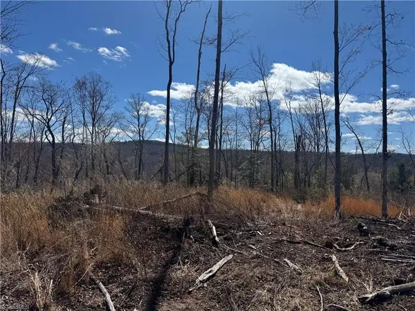 00 Billings Hill Church Road, Traphill, NC 28685