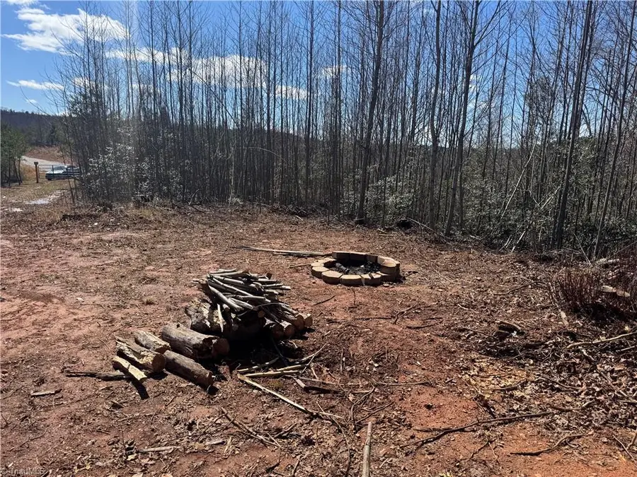 00 Billings Hill Church Road, Traphill, NC 28685 - #2