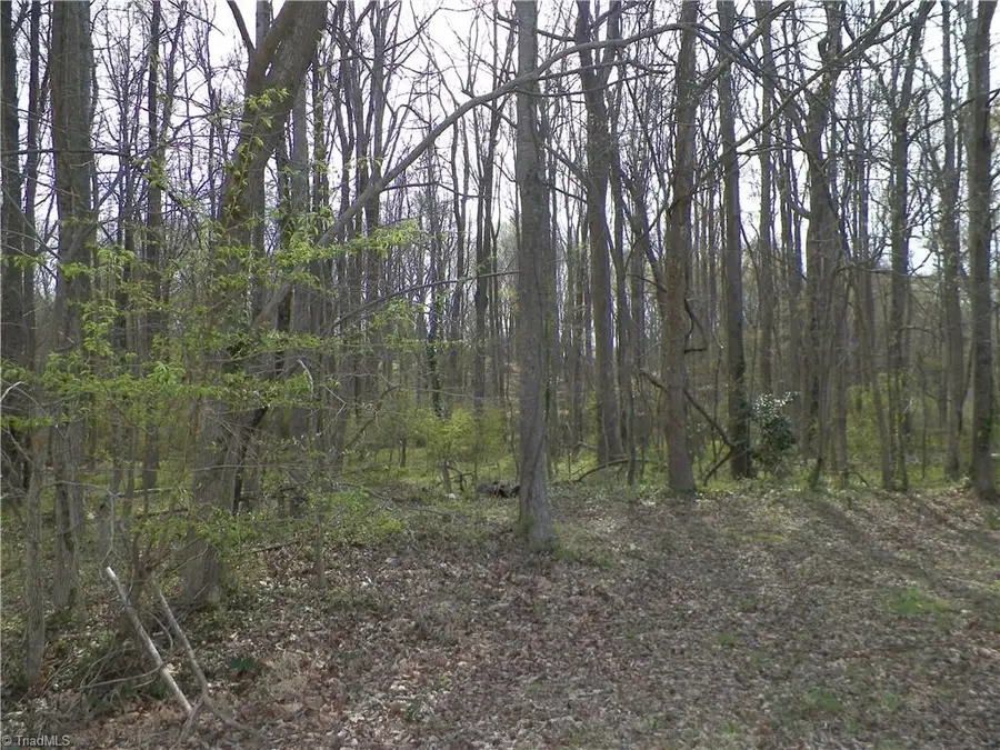 516 Widaustin Drive, Arcadia, NC 27127 - #2