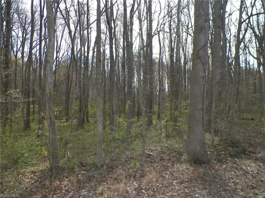 516 Widaustin Drive, Arcadia, NC 27127 - #3