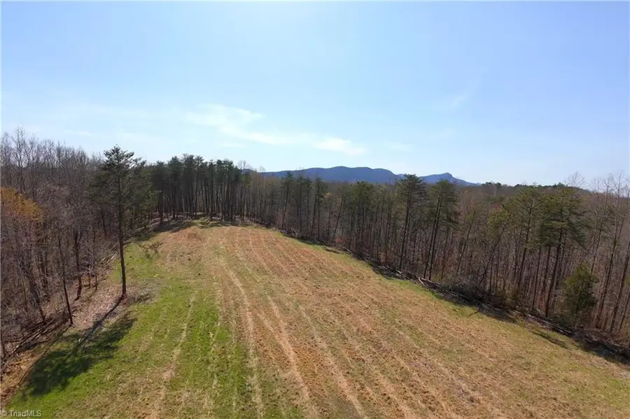 1583 Seven Island Road, Danbury, NC 27016 - #2