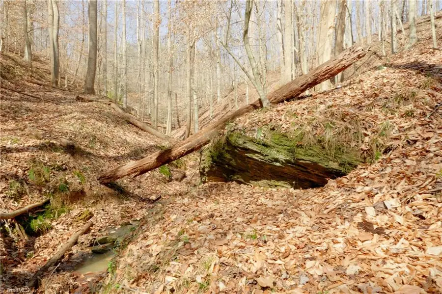 0 Seven Island Road, Danbury, NC 27016 - #2