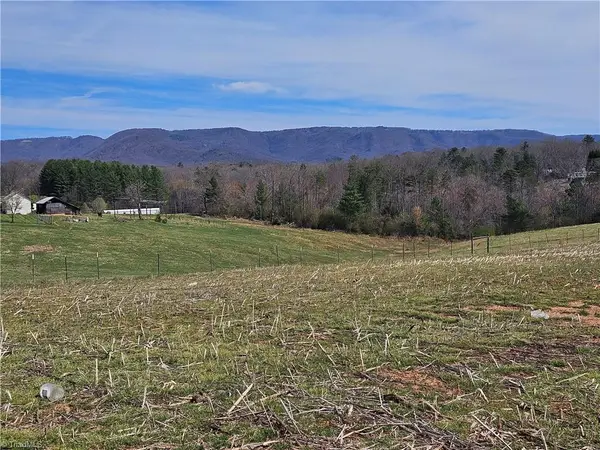 00 Willas Gap Road #43, Ararat, VA 24053