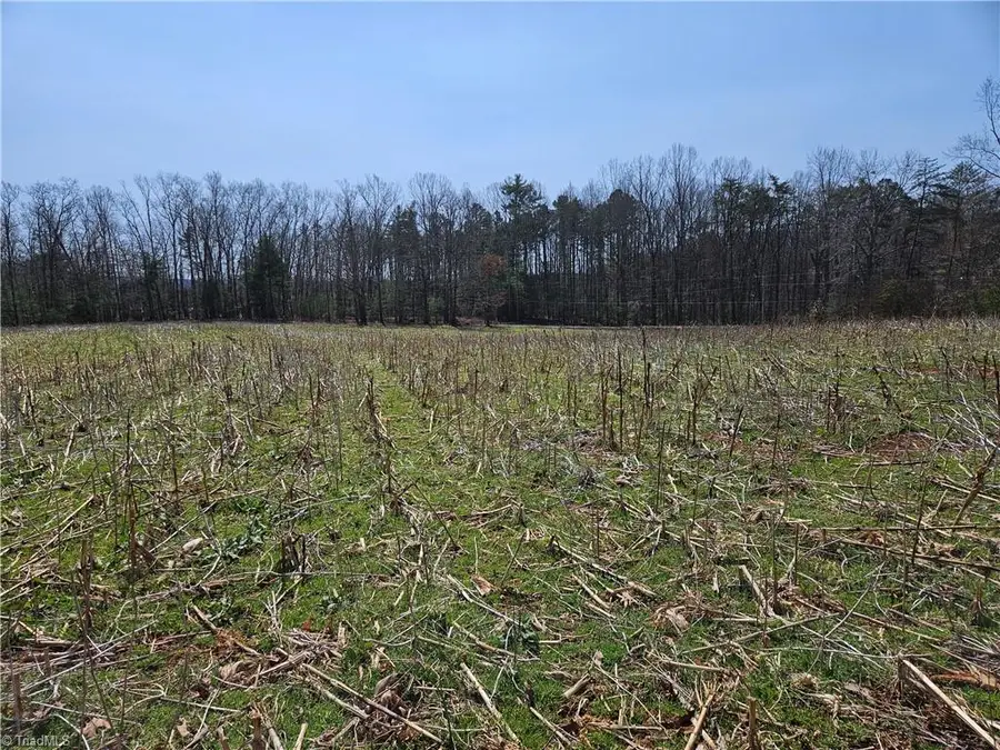 00 Willas Gap Road #43, Ararat, VA 24053 - #2