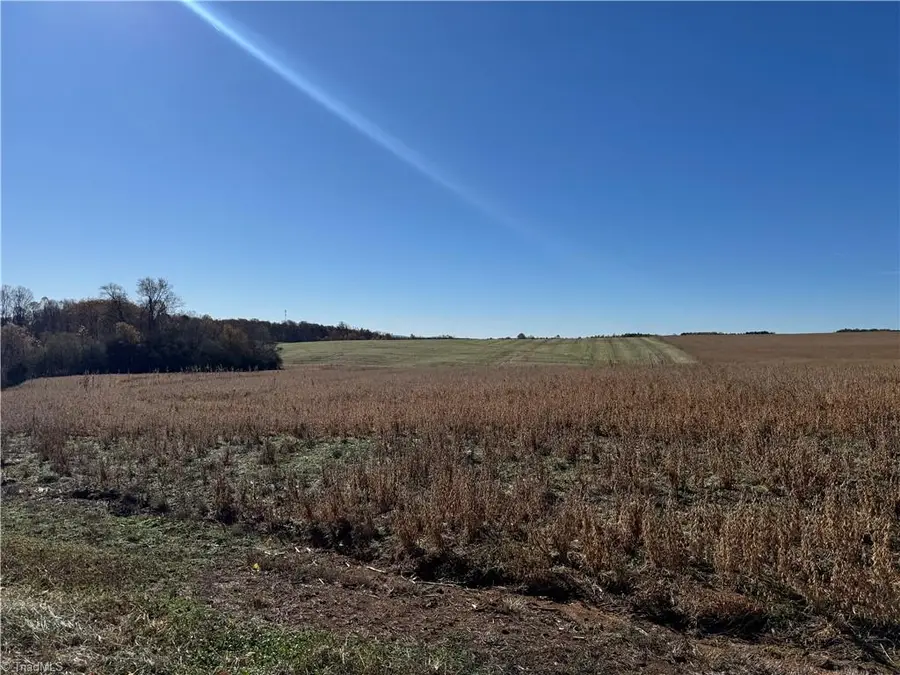 000 Grover Simmons Road, Dobson, NC 27017 - #3