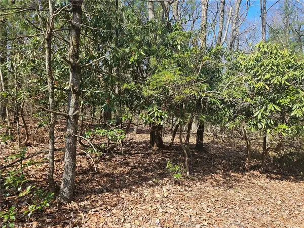 TBD Mt. Retreat Road, Roaring Gap, NC 28668