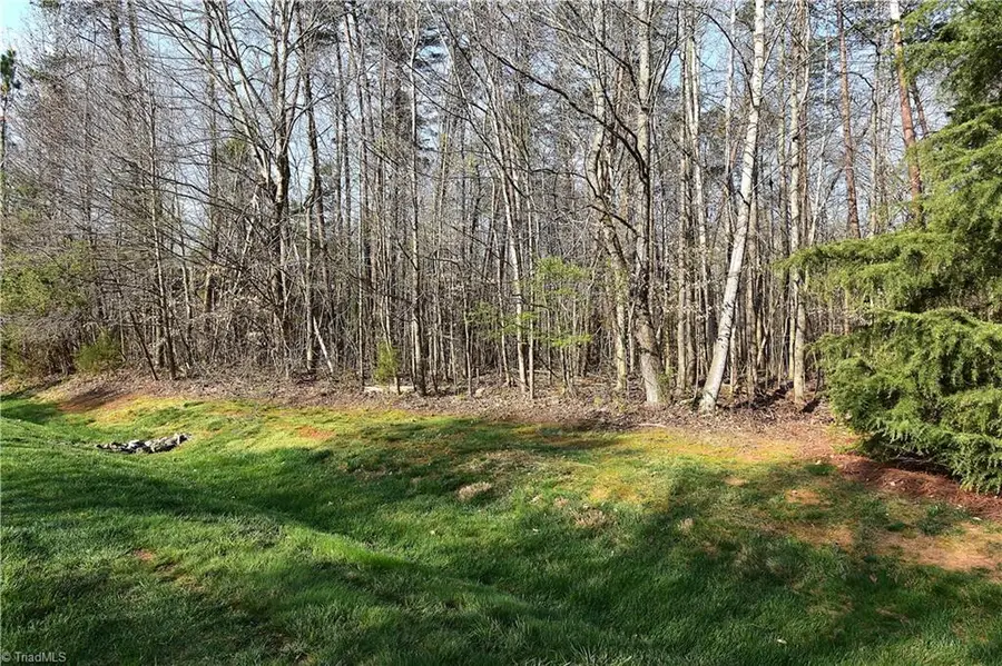 6799 Bronco Lane, Summerfield, NC 27358 - #2