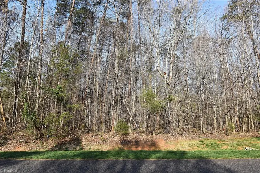 6799 Bronco Lane, Summerfield, NC 27358 - #3