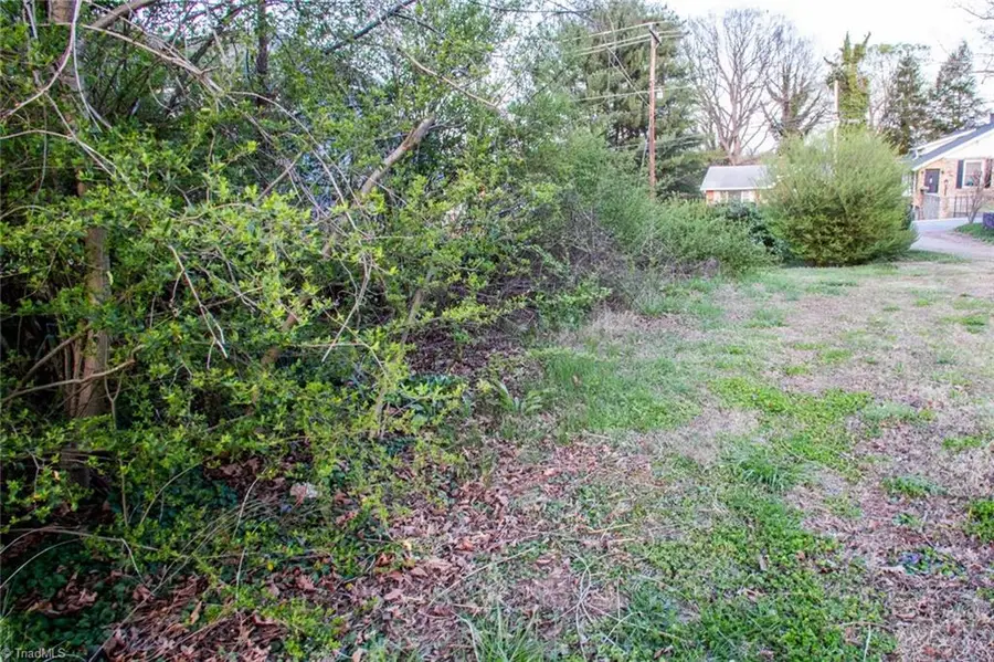 0 N Cameron Avenue, Winston Salem, NC 27101 - #3