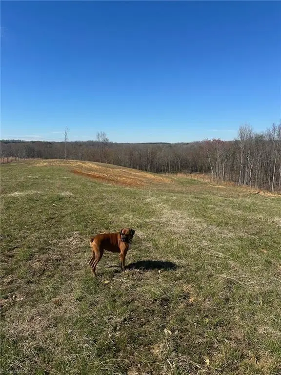 8451 Witty Road, Summerfield, NC 27358 - #3