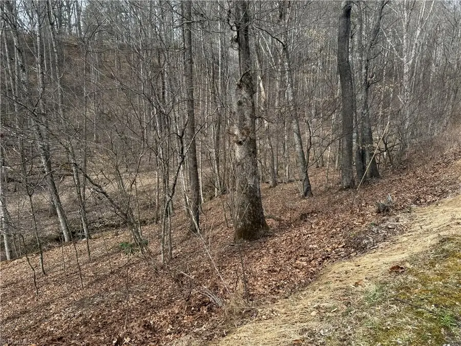 45 Happy Ridge Road, Piney Creek, NC 28631 - #2