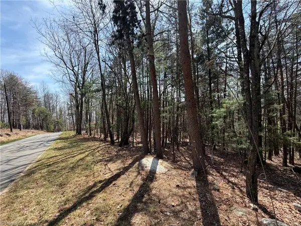 Lot 105 Greenstreet Drive, Traphill, NC 28685