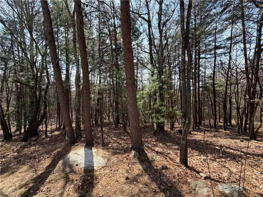 Lot 105 Greenstreet Drive, Traphill, NC 28685 - #3