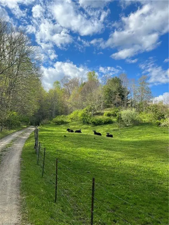 680 Flatwoods Post Office Road, Creston, NC 28615 - #3