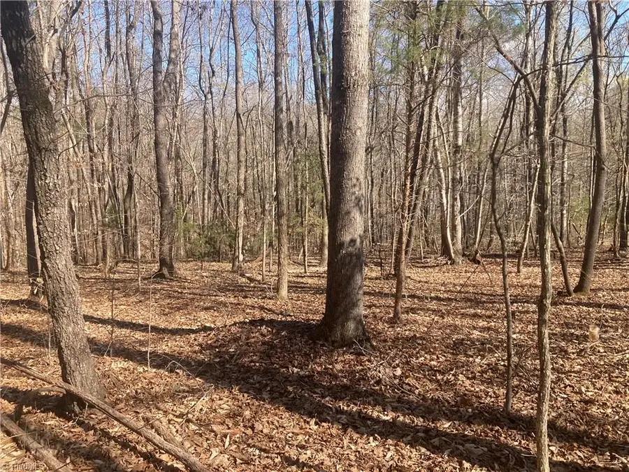 TBD Jarvis Miller Road, Asheboro, NC 27205 - #2