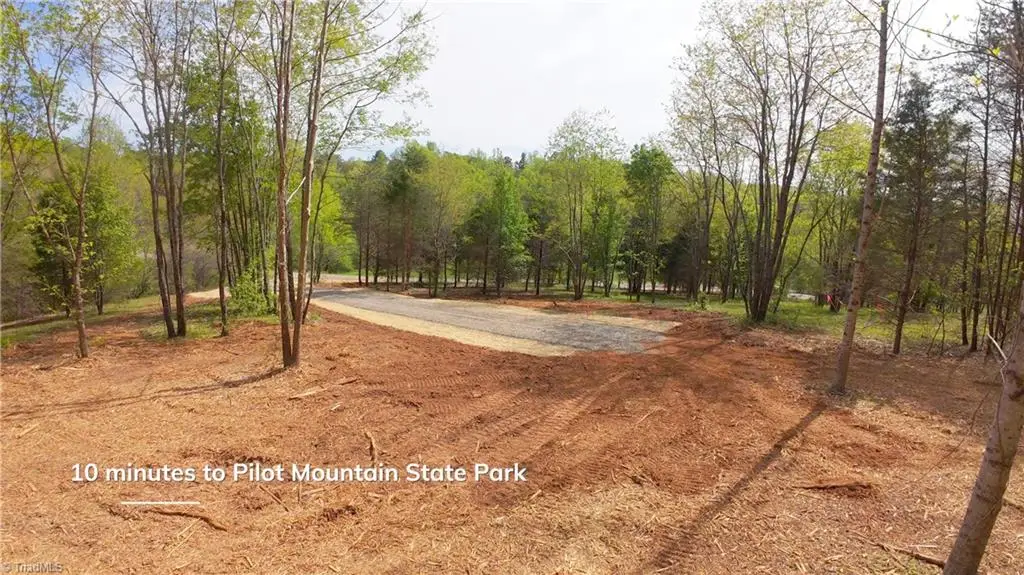 3 Thomas Farm Road, King, NC 27021 - #1