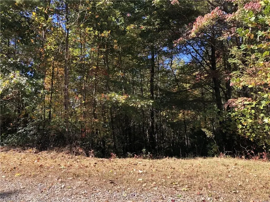 2 Majestic Court, Boomer, NC 28606 - #3