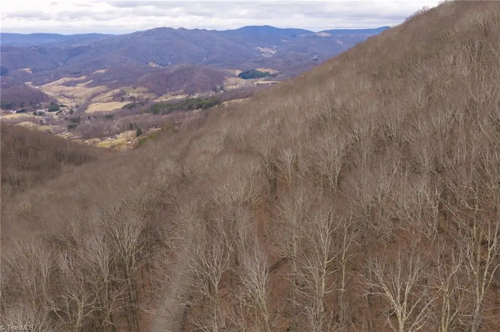 TBD Tater Hill Road, Cove Creek, NC 28698 - #1