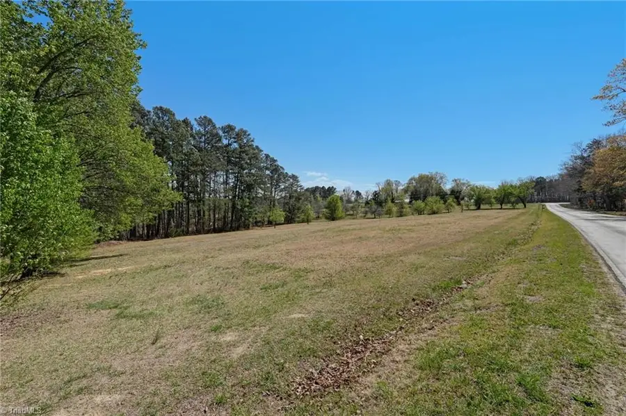 00 Blanch Road, Blanch, NC 27212 - #2