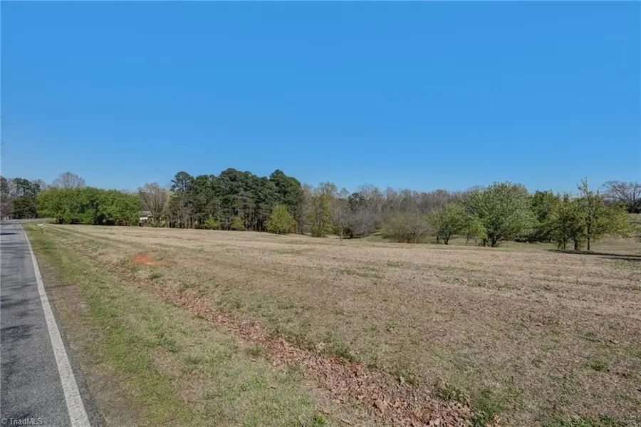 00 Blanch Road, Blanch, NC 27212 - #3