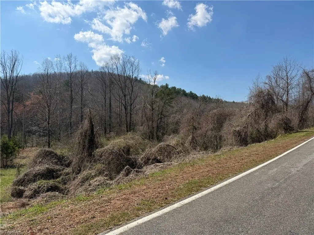 TBD Old Mill Road, Lowgap, NC 27024 - #1