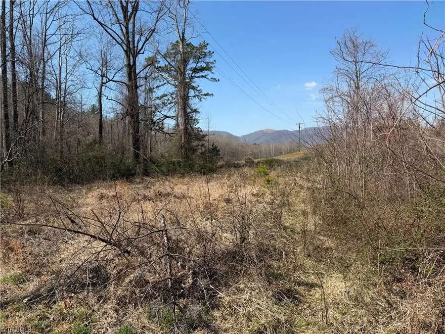 TBD Old Mill Road, Lowgap, NC 27024 - #3
