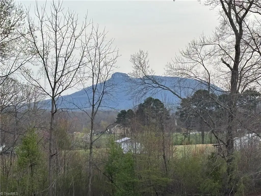 166 Springfield Road, Pilot Mountain, NC 27041 - #1