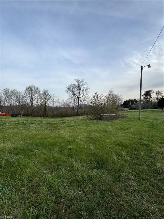 166 Springfield Road, Pilot Mountain, NC 27041 - #3
