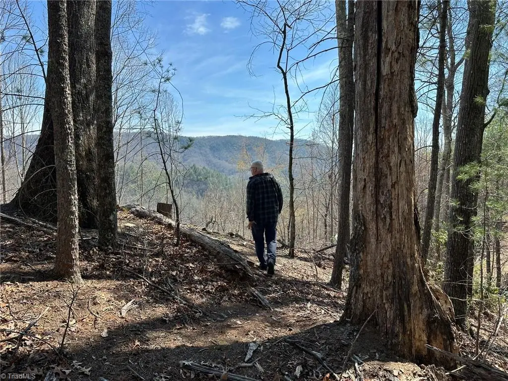 6475 & 6485 Buffalo Cove Road, Lenoir, NC 28645 - #1