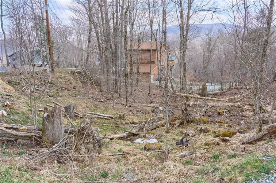 101 Foxgrape Hollow Road, Beech Mountain, NC 28604 - #2