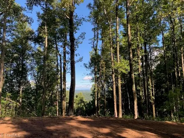 2480 Bethany Church Road, Moravian Falls, NC 28654