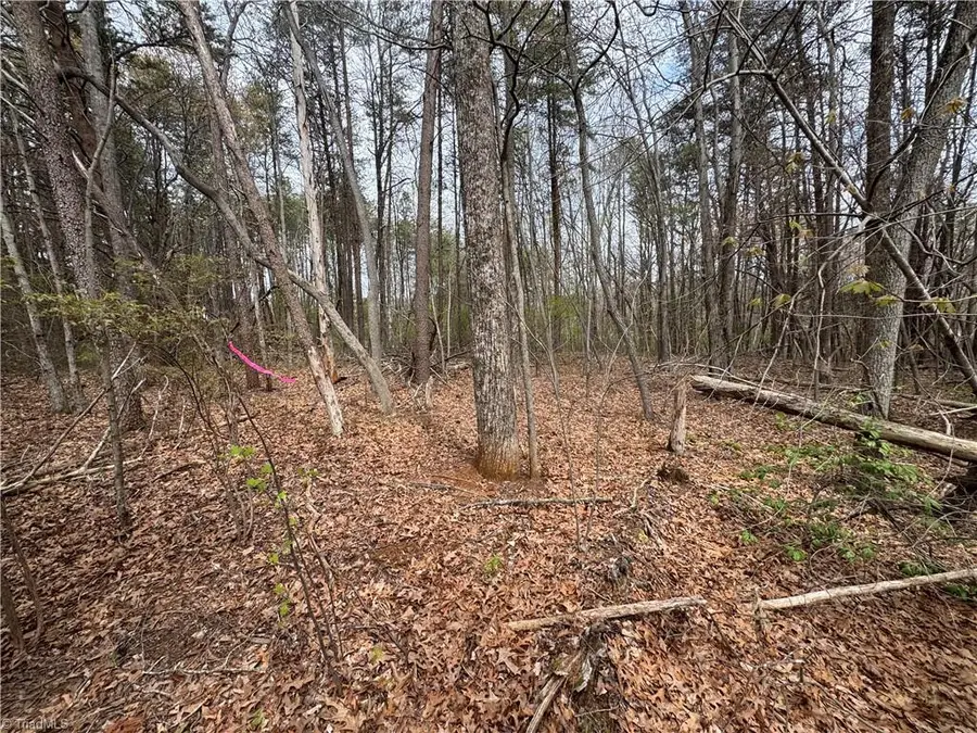 0 Brims Grove Road, Pinnacle, NC 27043 - #3