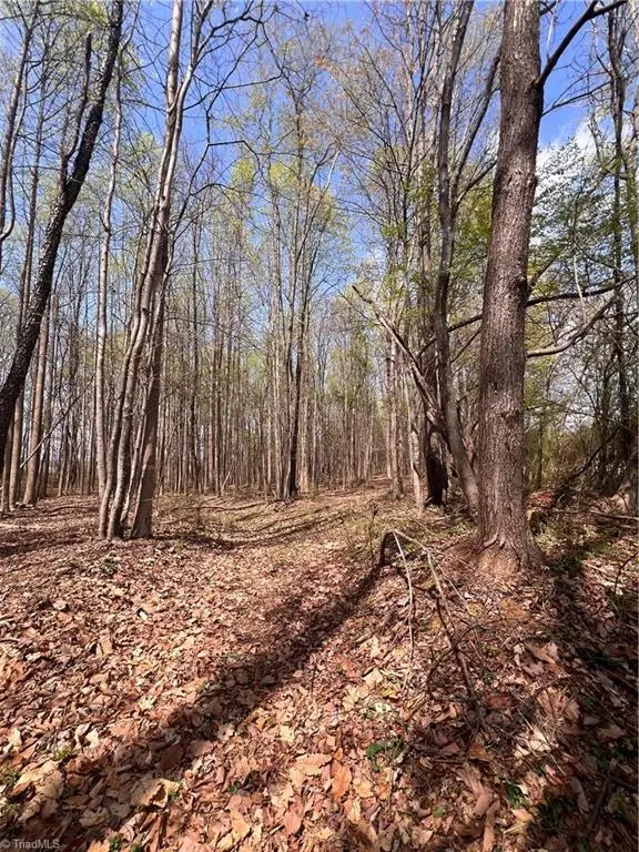 TBD Caves Mill Road, Dobson, NC 27017 - #3