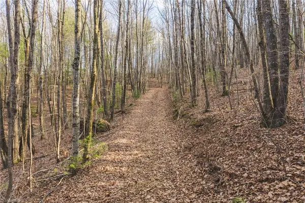 TBD Lot 2 All Healing Springs Road, Taylorsville, NC 28681