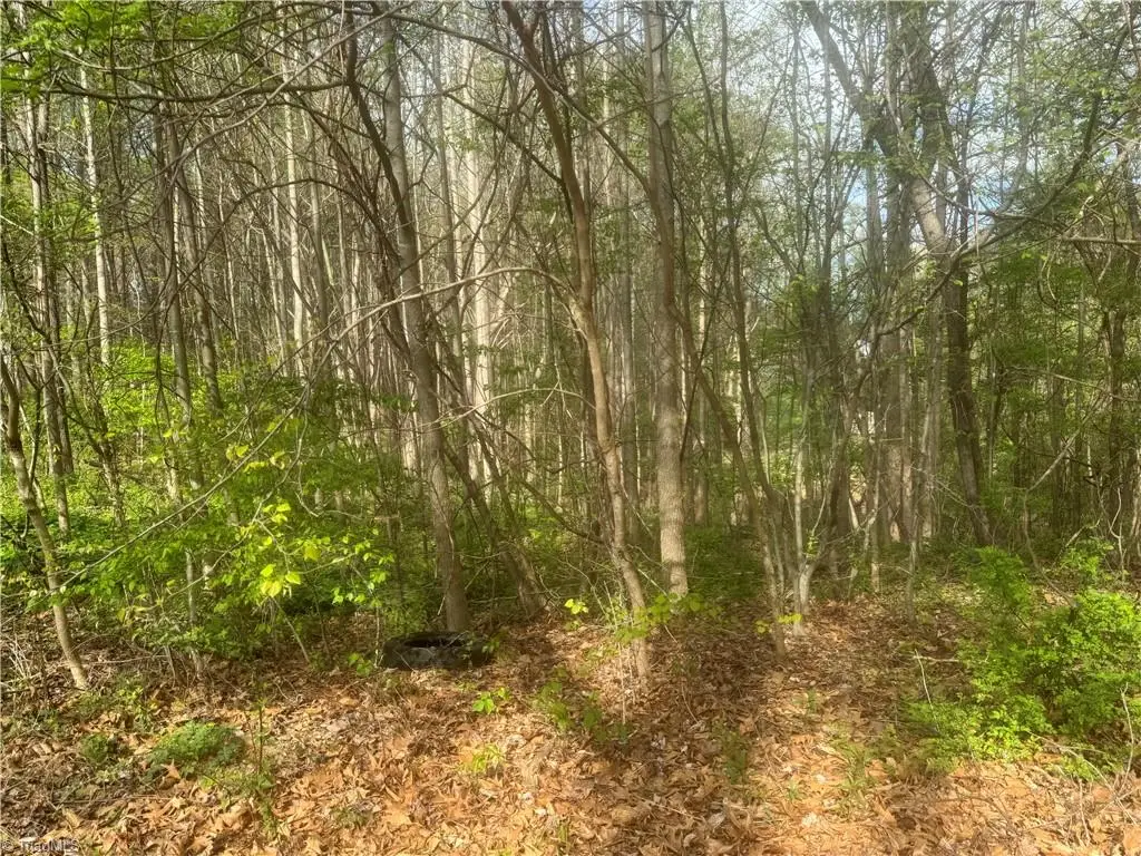 0 Della Drive, Winston Salem, NC 27105 - #1