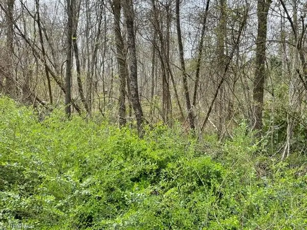 00 Old Walker Mill Road, Randleman, NC 27317