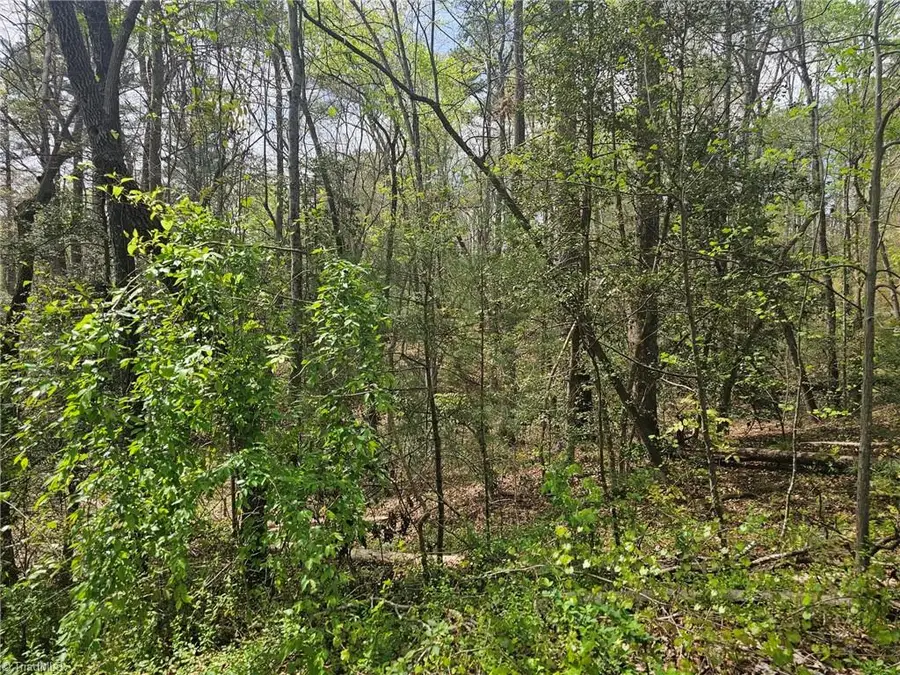 00 Spring Drive, North Wilkesboro, NC 28659 - #2