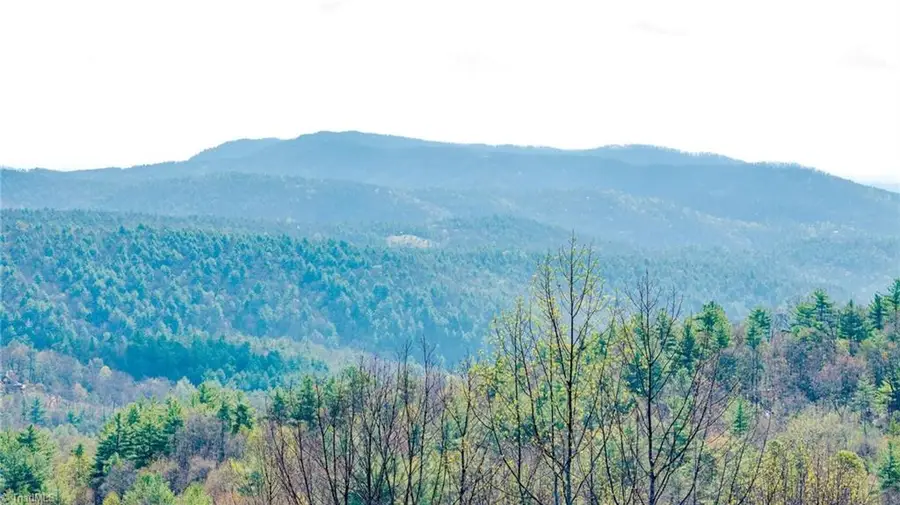 59(7C) 60 (6) Cielo Falls Drive, Purlear, NC 28665 - #2