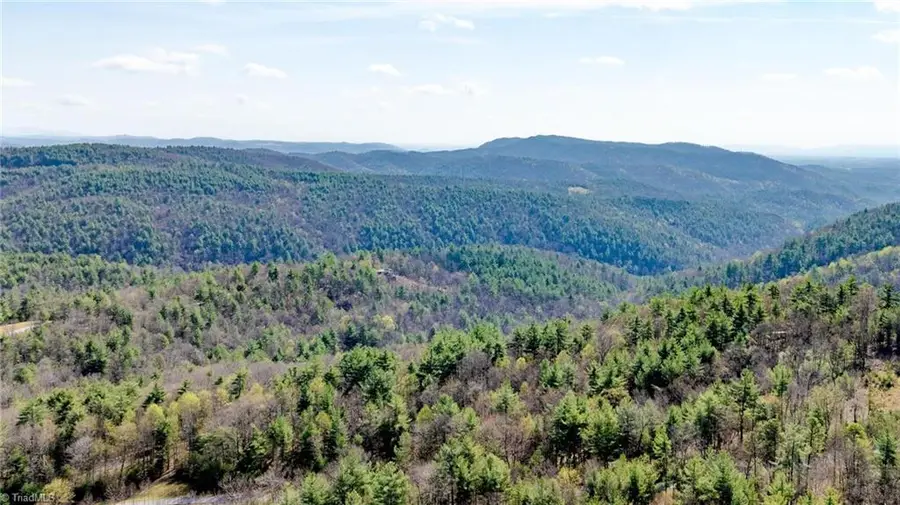 59(7C) 60 (6) Cielo Falls Drive, Purlear, NC 28665 - #3