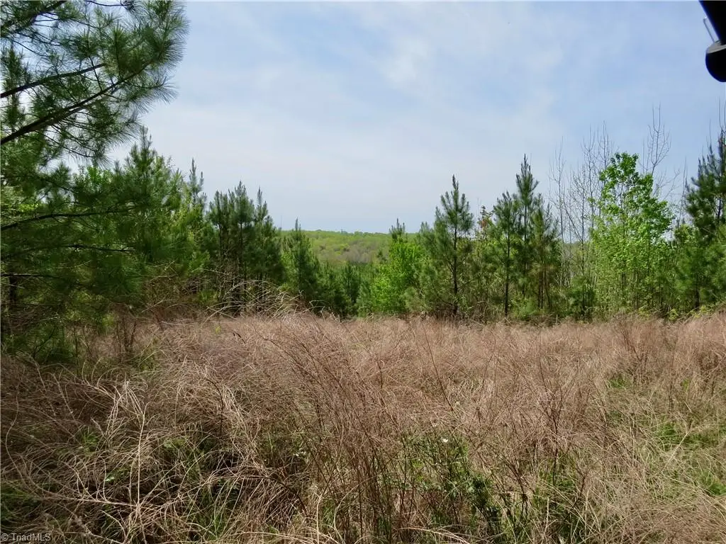 0 Vernon Road, Reidsville, NC 27320 - #1