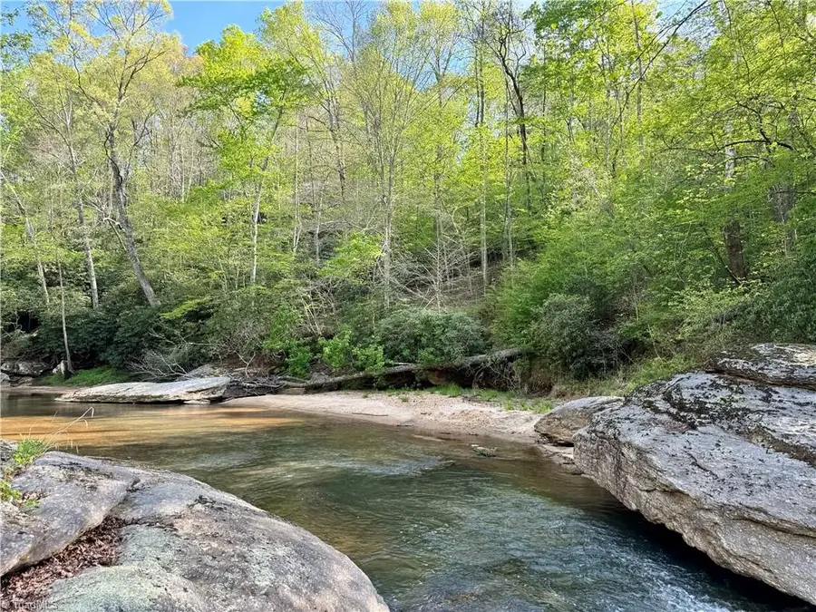 0 Otis Woods Road, Danbury, NC 27046 - #2